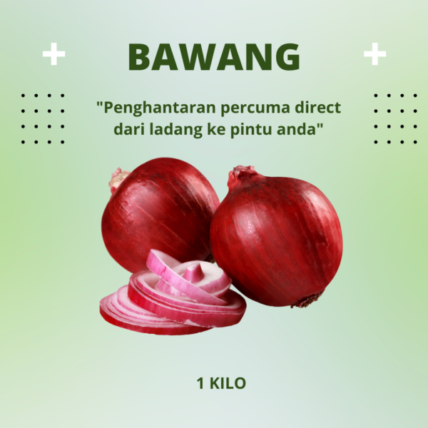 Bawang Besar / Onion