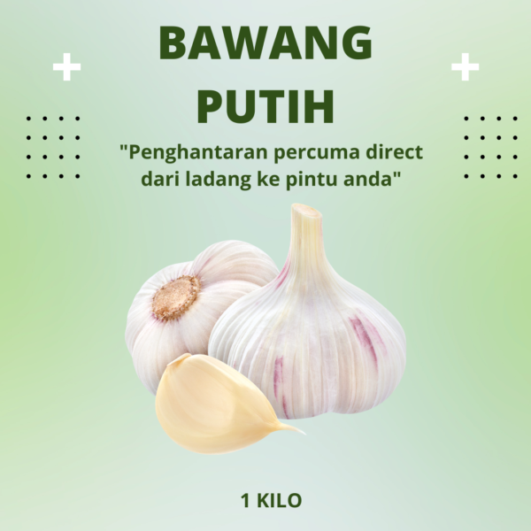 Bawang Putih / Garlic