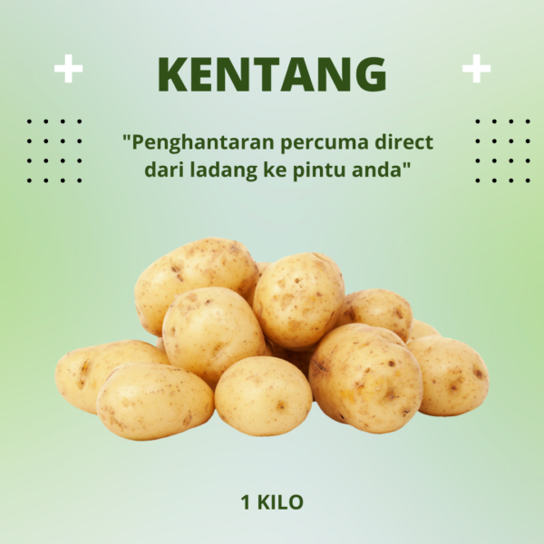 Kentang / Potato